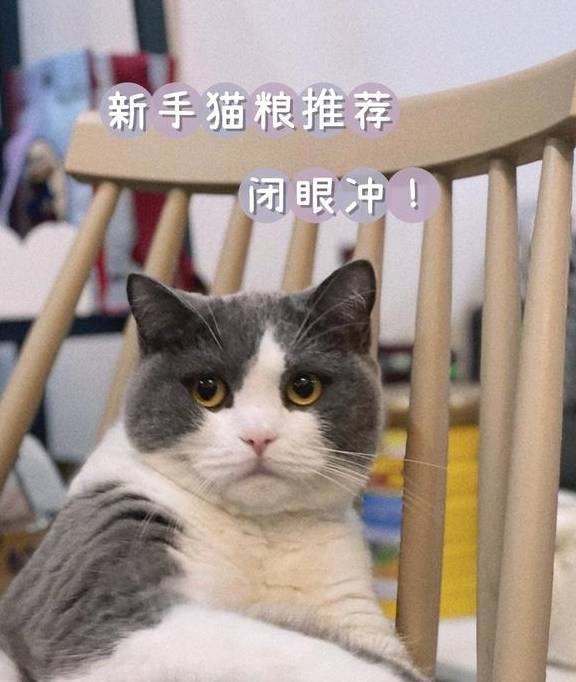 华为 性价比高的手机推荐
:猫粮什么牌子好？性价比高的无谷猫粮推荐！