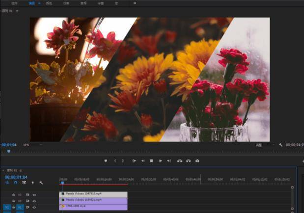 幕府之争2破解版下载苹果:Adobe Premiere Elements(Pr) 2023 v21.0 多语言版(附激活教程) 64位-第2张图片-太平洋在线下载