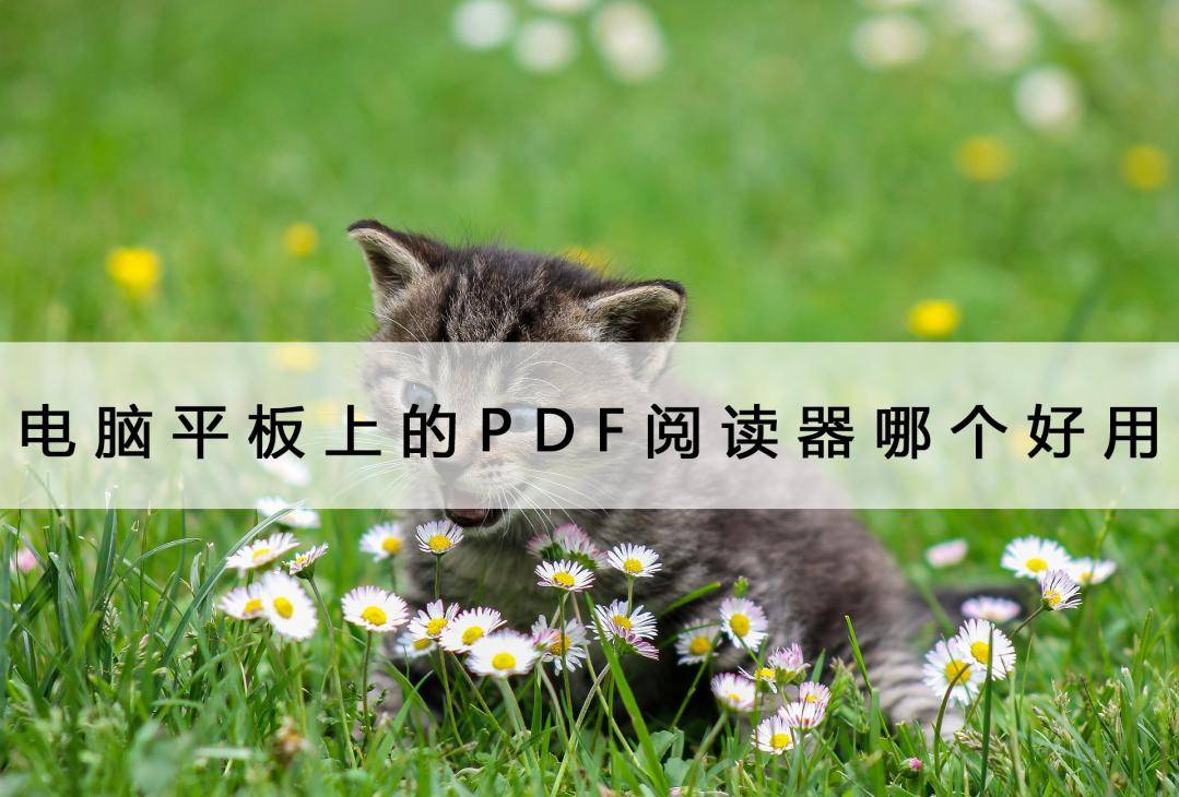 平板字体软件苹果版:电脑平板上的PDF阅读器哪个好用？这个无敌了