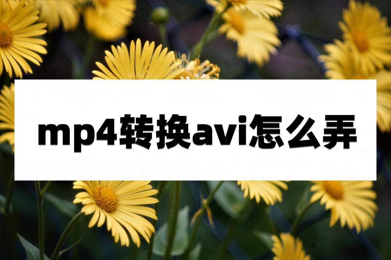 手机视频格式转换器:mp4转换avi怎么弄？视频格式转换方法分享