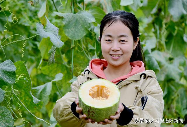 香瓜视频客户端香瓜影视追剧app下载-第2张图片-太平洋在线下载