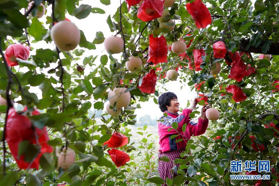 龙口苹果园新闻龙口市现任领导班子-第1张图片-太平洋在线下载