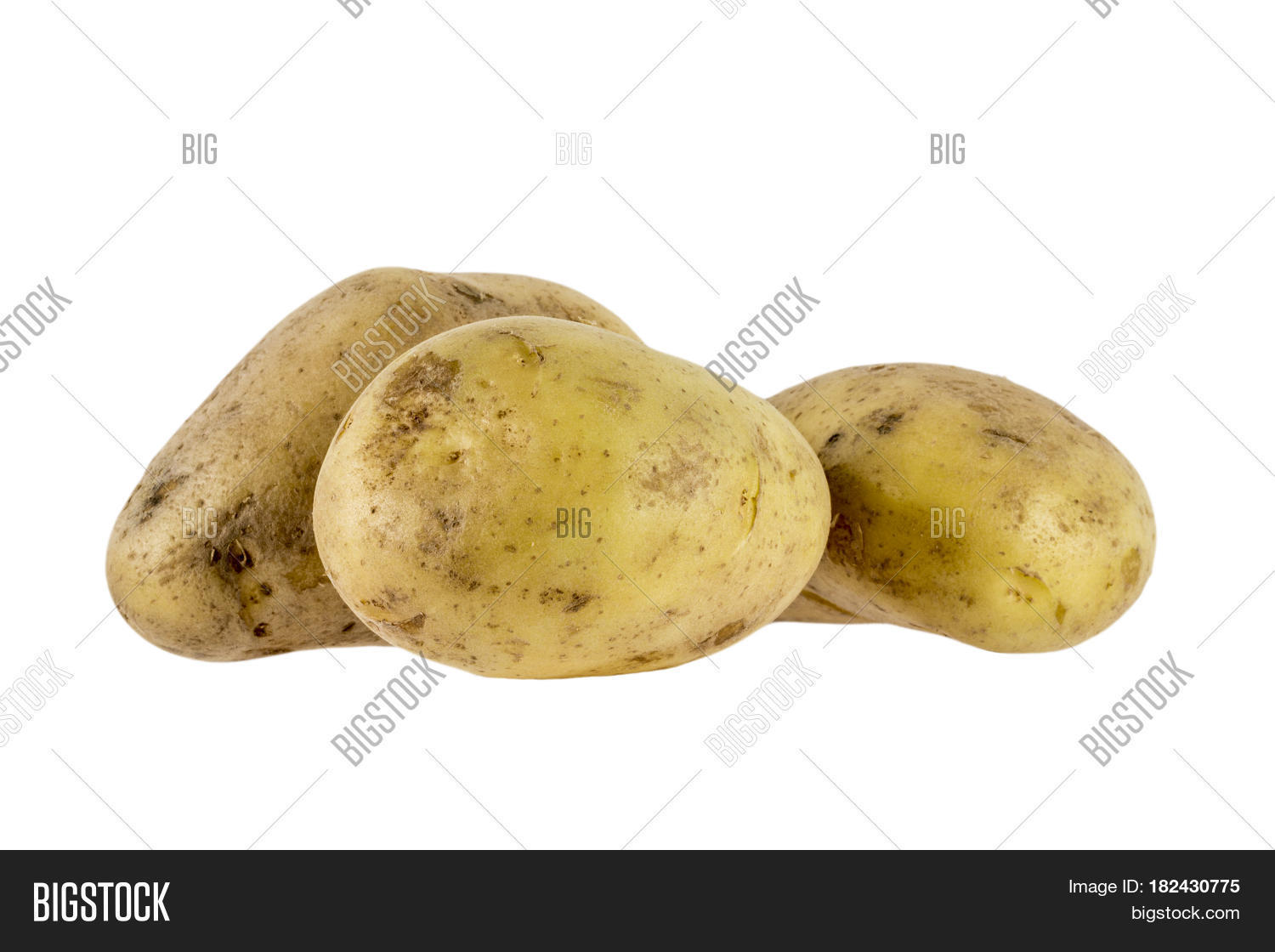 phtato安卓版下载聊天软件potato官网