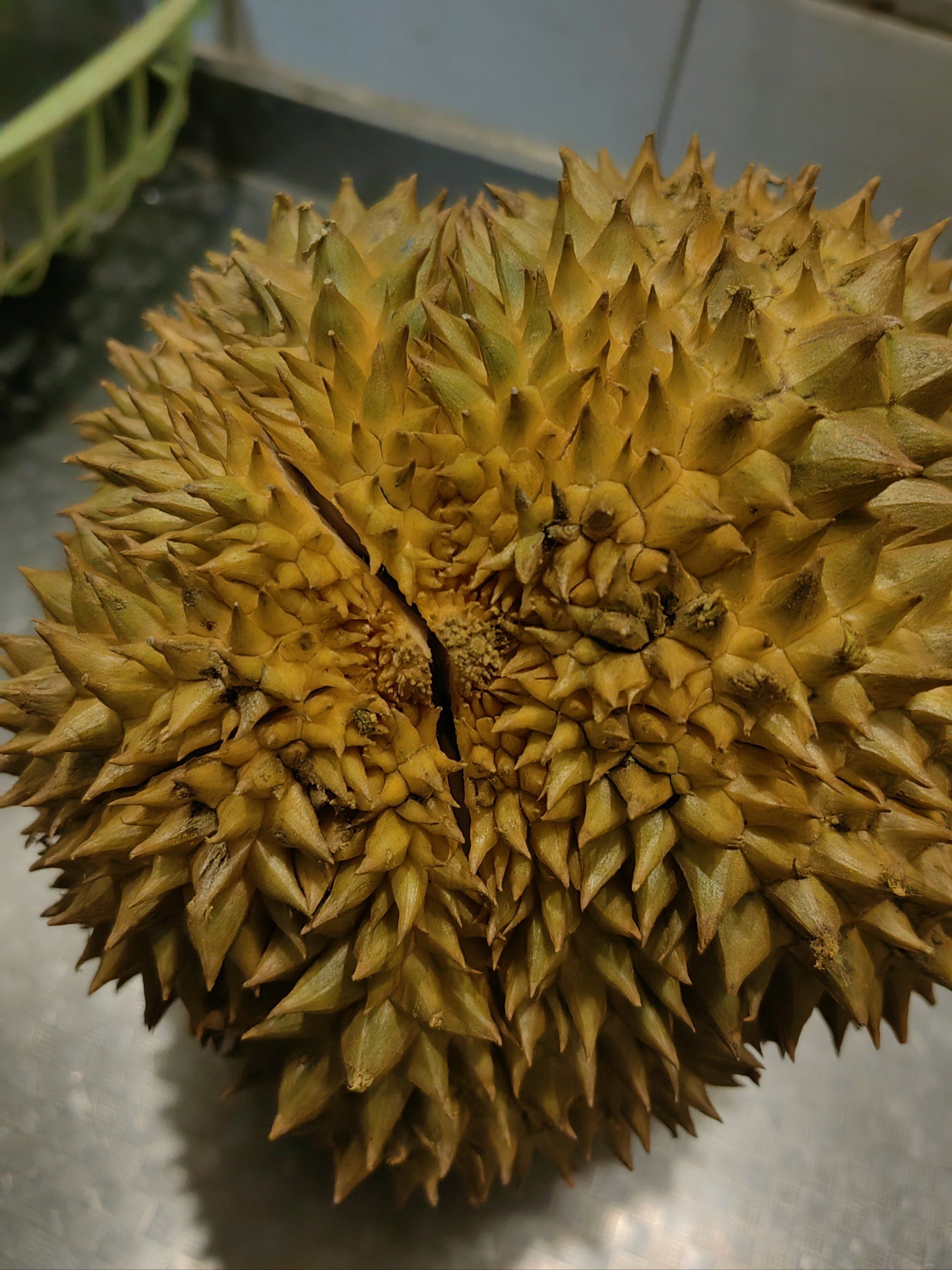 苹果版榴莲视频色版(榴莲视频苹果版app网址下载)-第5张图片-QuickQ官网