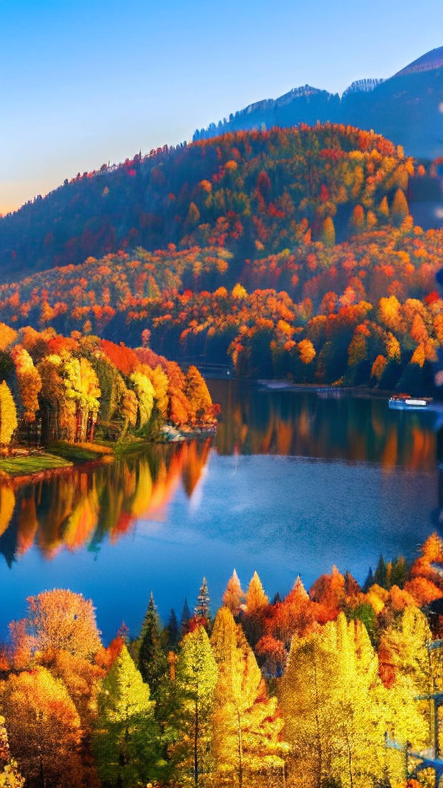 美丽的秋天壁纸手机版(美丽的秋天景色风景图片)-第4张图片-QuickQ官网