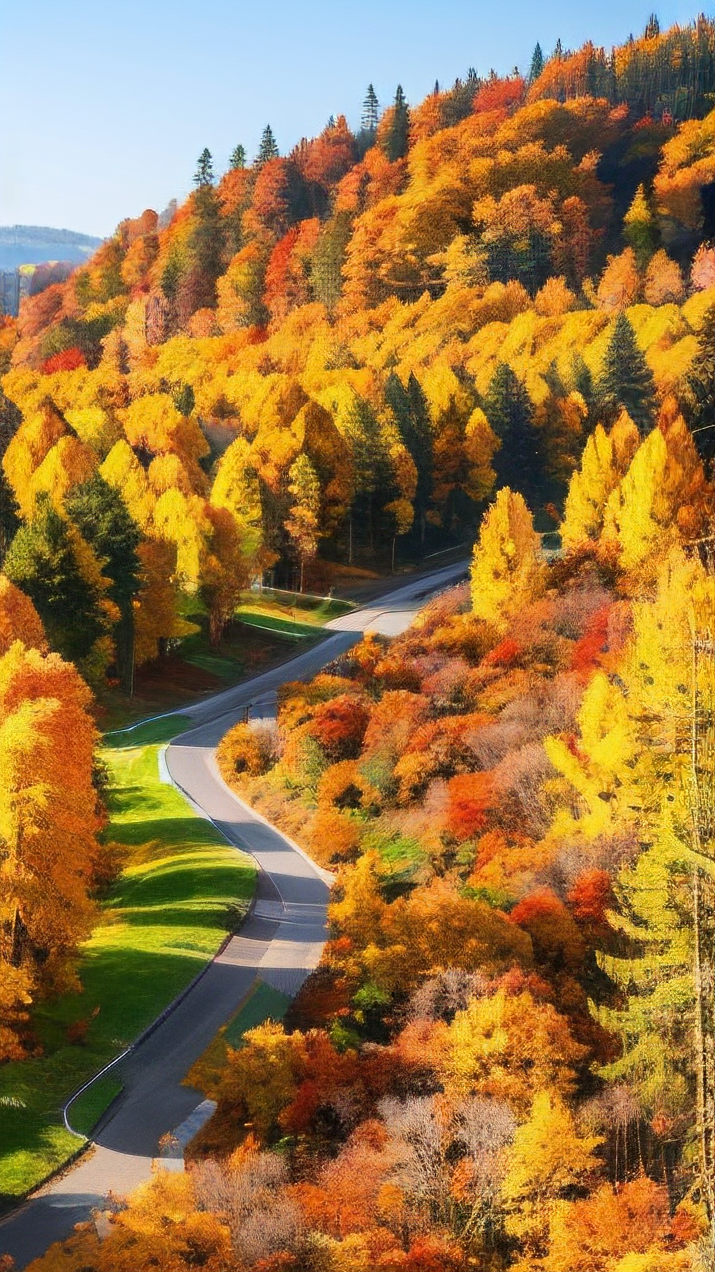 美丽的秋天壁纸手机版(美丽的秋天景色风景图片)-第5张图片-QuickQ官网