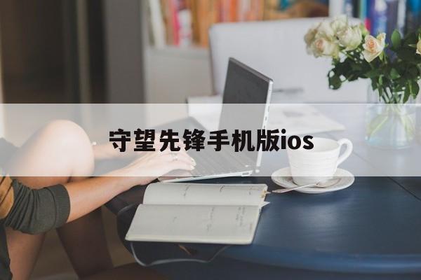守望先锋手机版ios(守望先锋手机版免费安装)-第4张图片-QuickQ官网