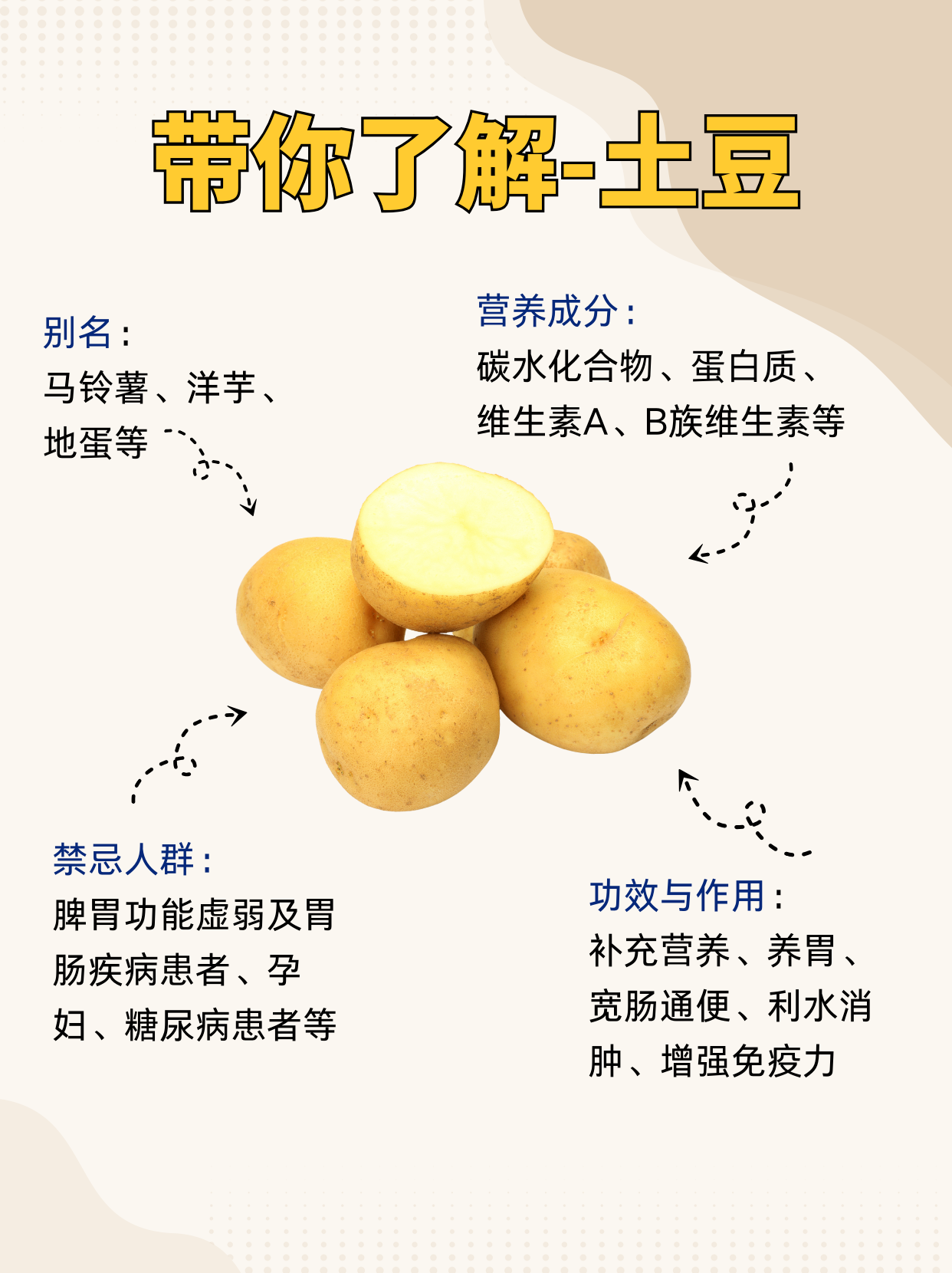 土豆苹果手机版(土豆app iphone)-第4张图片-QuickQ官网