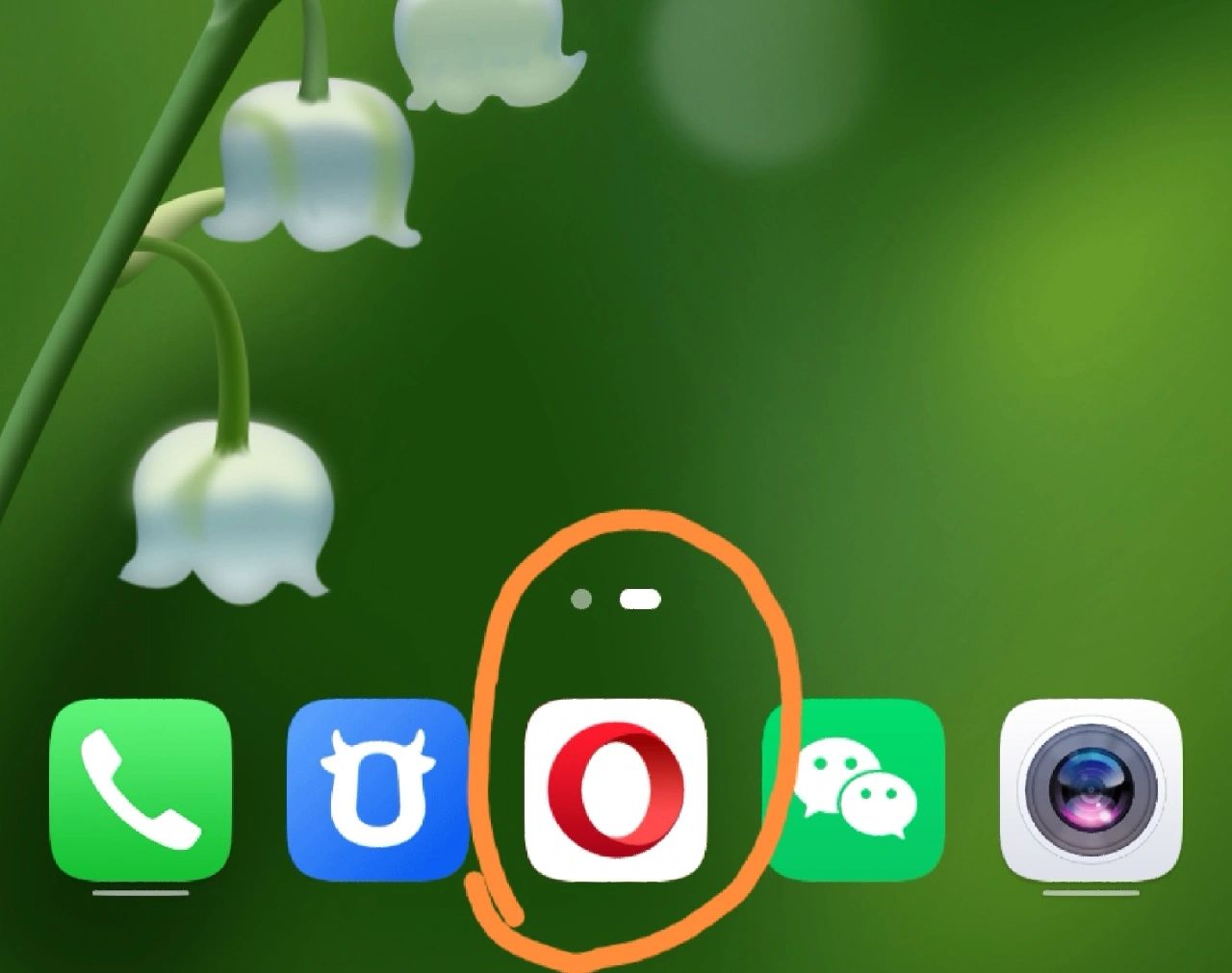 关于opera安卓版手机浏览器的信息-第4张图片-QuickQ官网