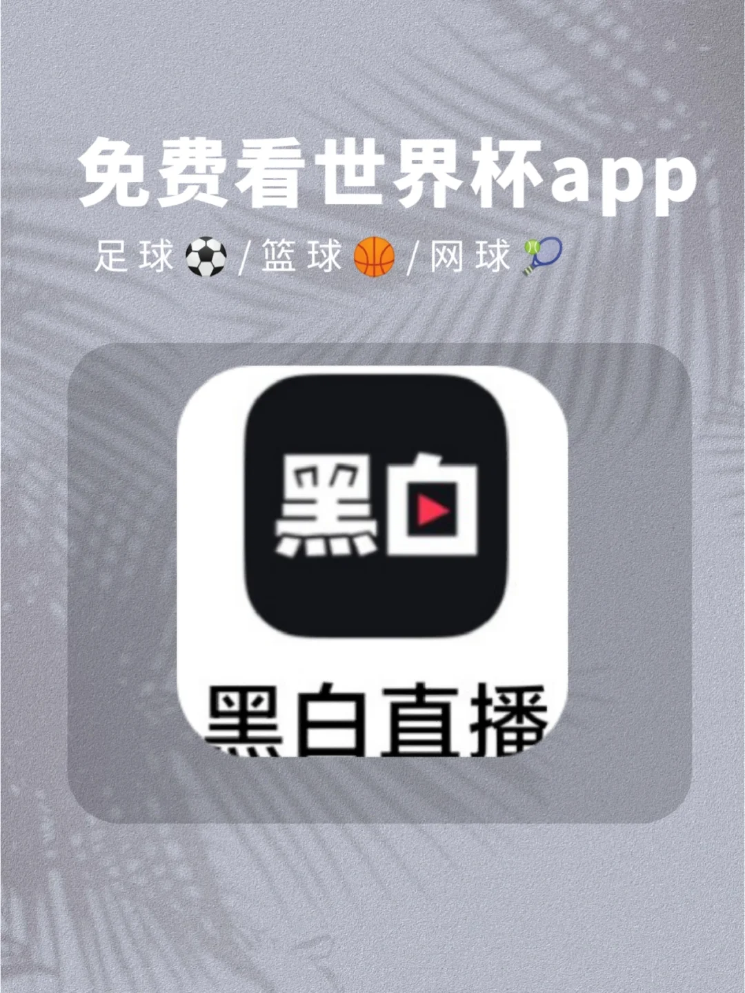 黑白直播苹果版beta版(2021黑白直播苹果版app下载)-第3张图片-QuickQ官网