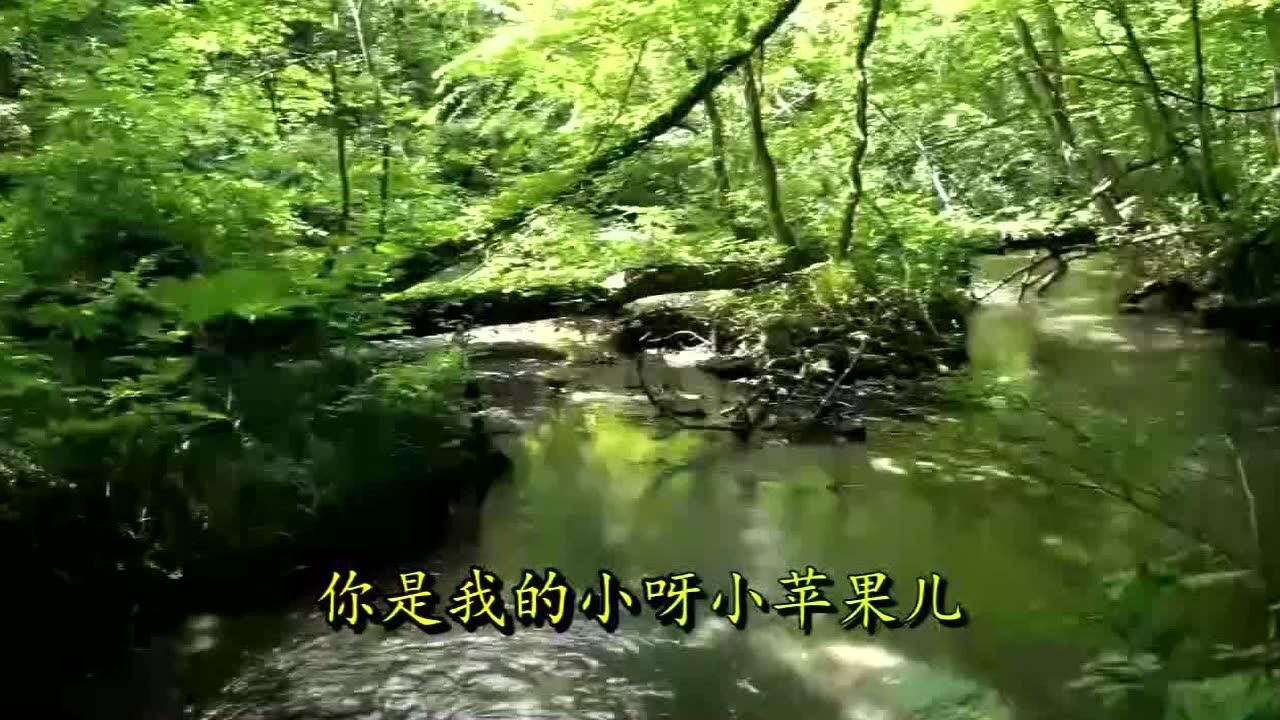 小苹果dj版姐姐版(小苹果dj舞曲歌曲大全)-第2张图片-QuickQ官网