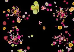 飘花影院手机版动物(飘花电影最新版app)